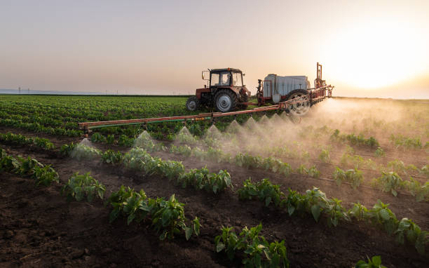 Best Insect Control  in Flowood, MS
